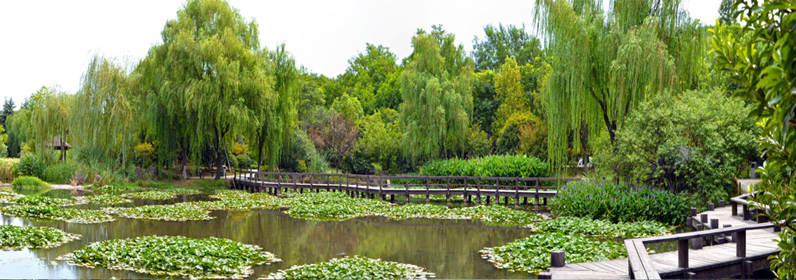 url(http://tc-mm.cn/theme/TP000163/pic/banner4.jpg)