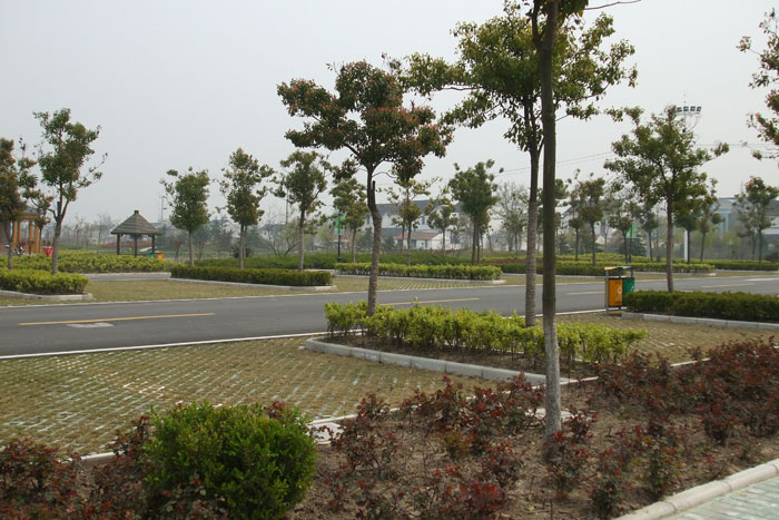 东林苗木基地(1)