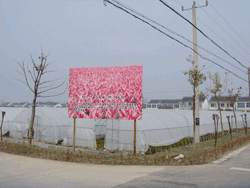 电站苗木基地(1)