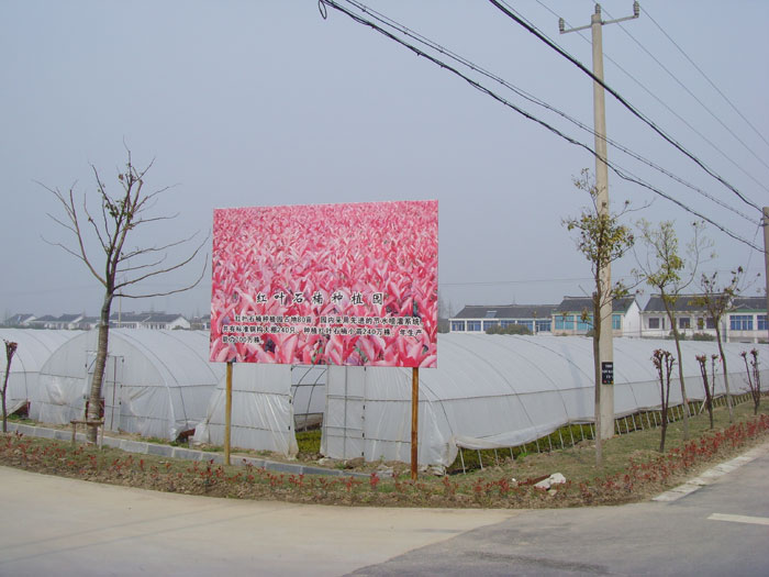 电站苗木基地(1)