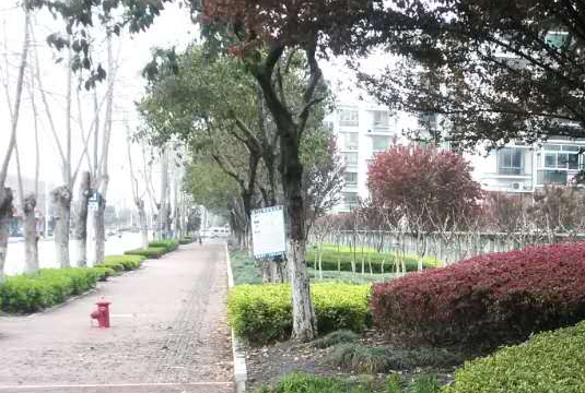浏河马路塘河道绿化工程