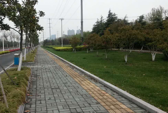 浏河马路塘河道绿化工程