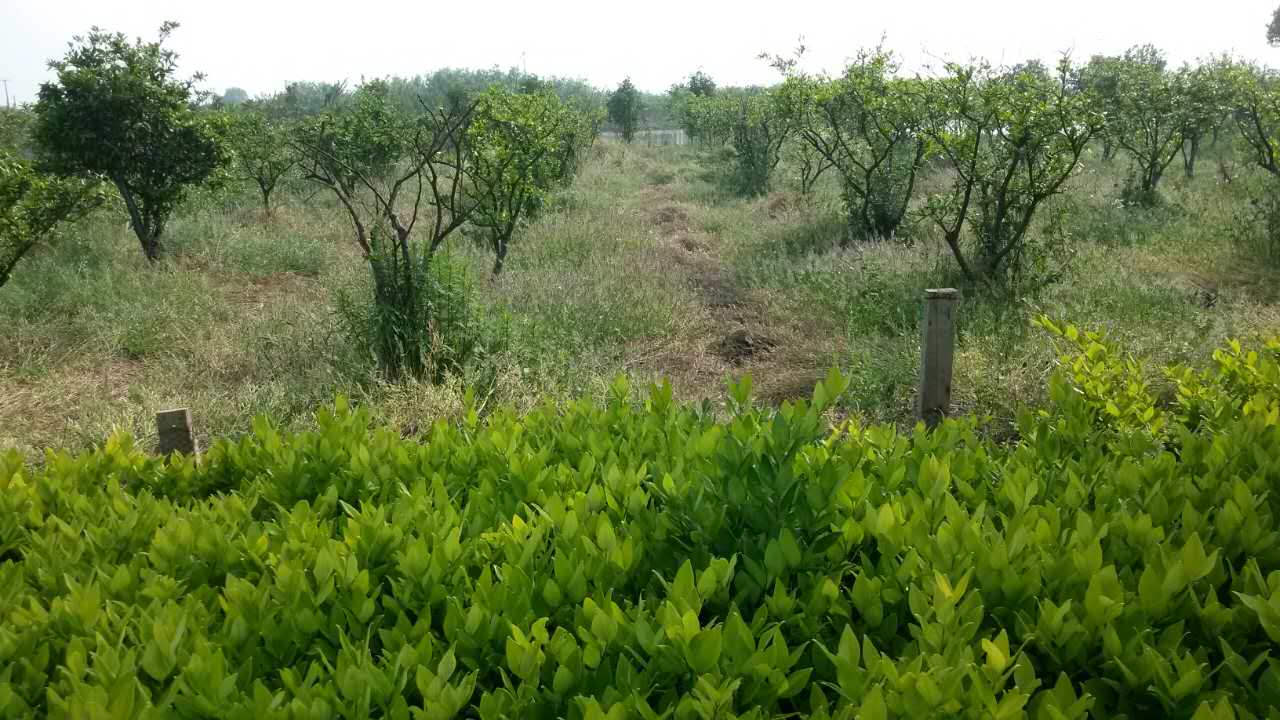 东海福地基地展示(2)