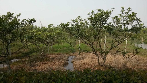 东海福地基地展示(4)