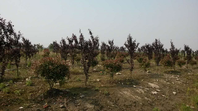 园区基地展示(2)