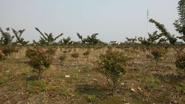 园区基地展示(3)
