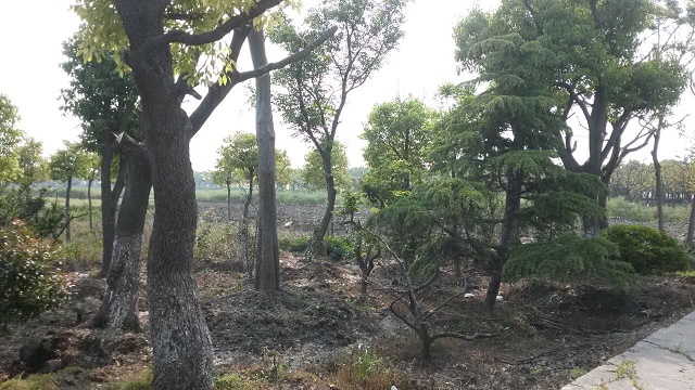 园区基地展示(6)